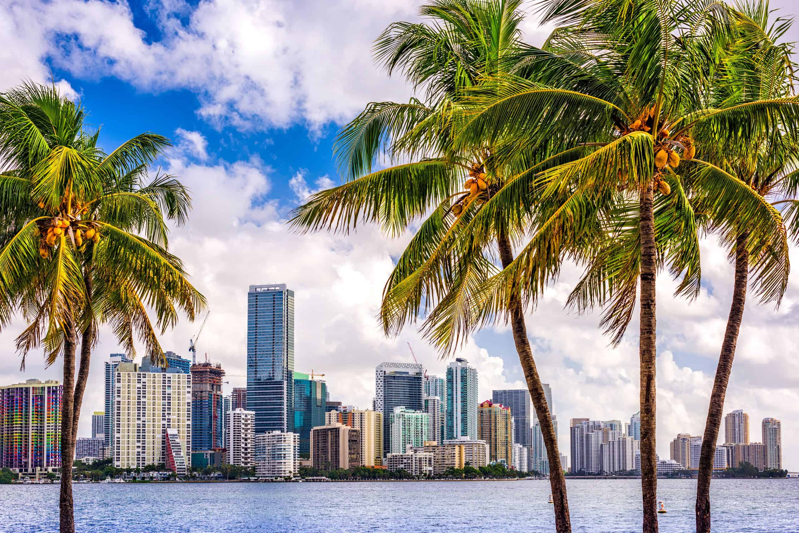 View of a city skyline across a body of water, framed by palm trees under a partly cloudy sky.