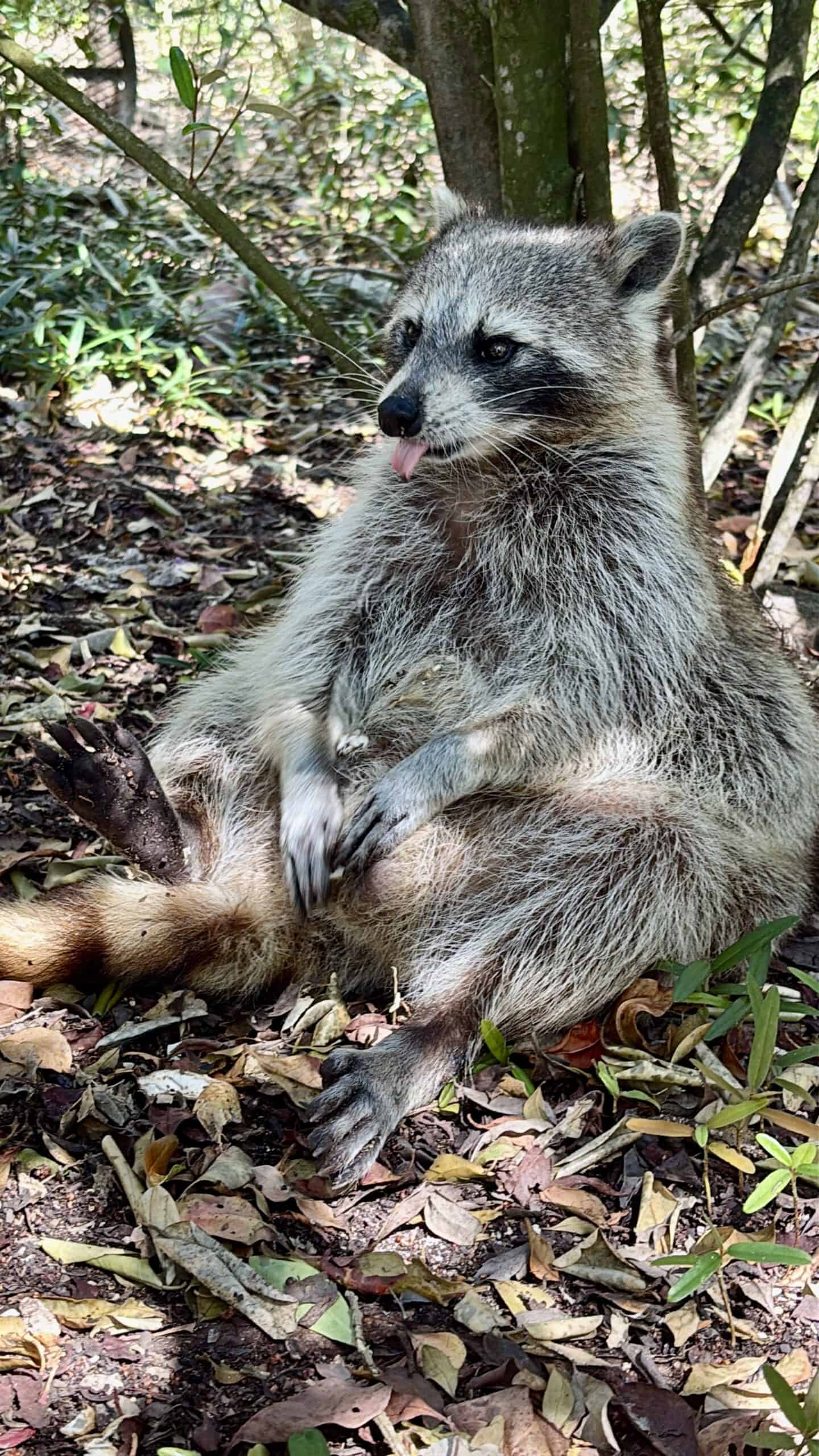 3930263D-9DD1-40A6-80B9-F6CA761987CE