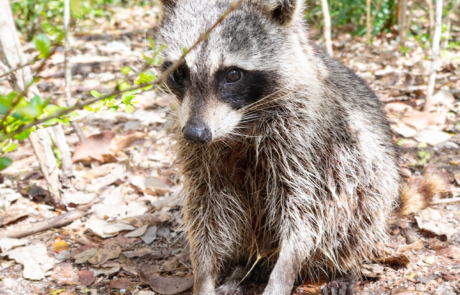 78BFAC17-5E76-4CB7-8093-99AD26CA42C9